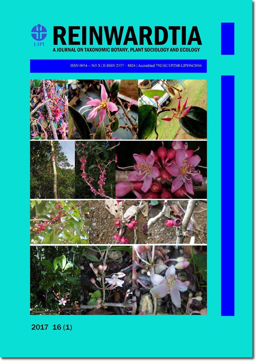 Cover Page