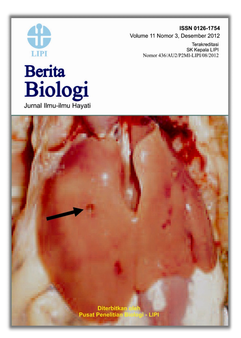 Cover Page